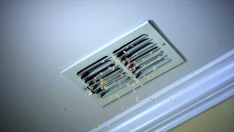 Best Duct Cleaning for Offices  in South Carthage, TN
